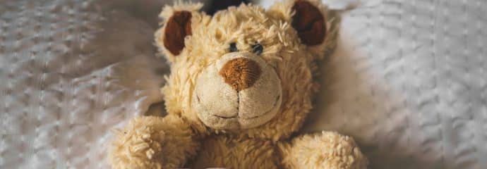 Be My Bear Case Study