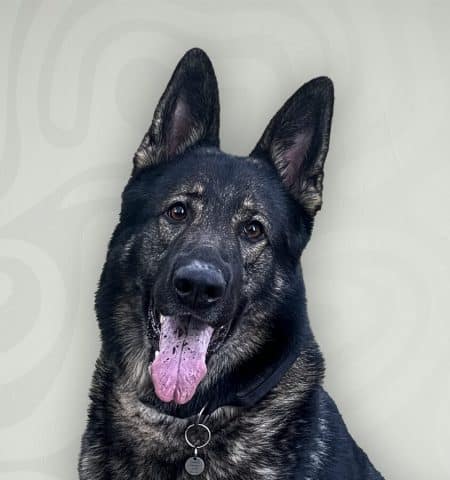 Rico