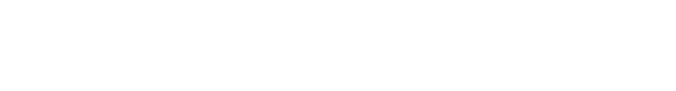 The Shirt Company